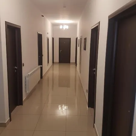 Pensiunea Ok Vişeu de Sus