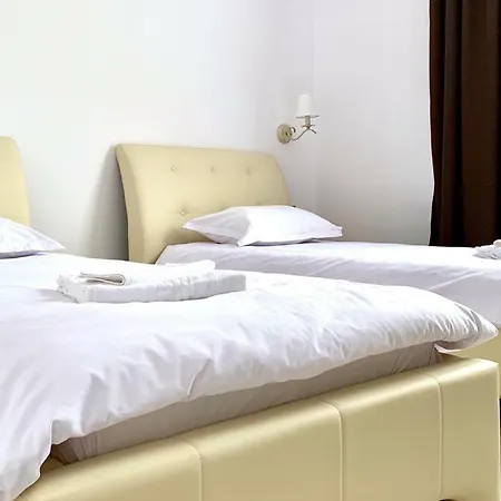 Pensiunea Ok Maison d'hôtes Vişeu de Sus